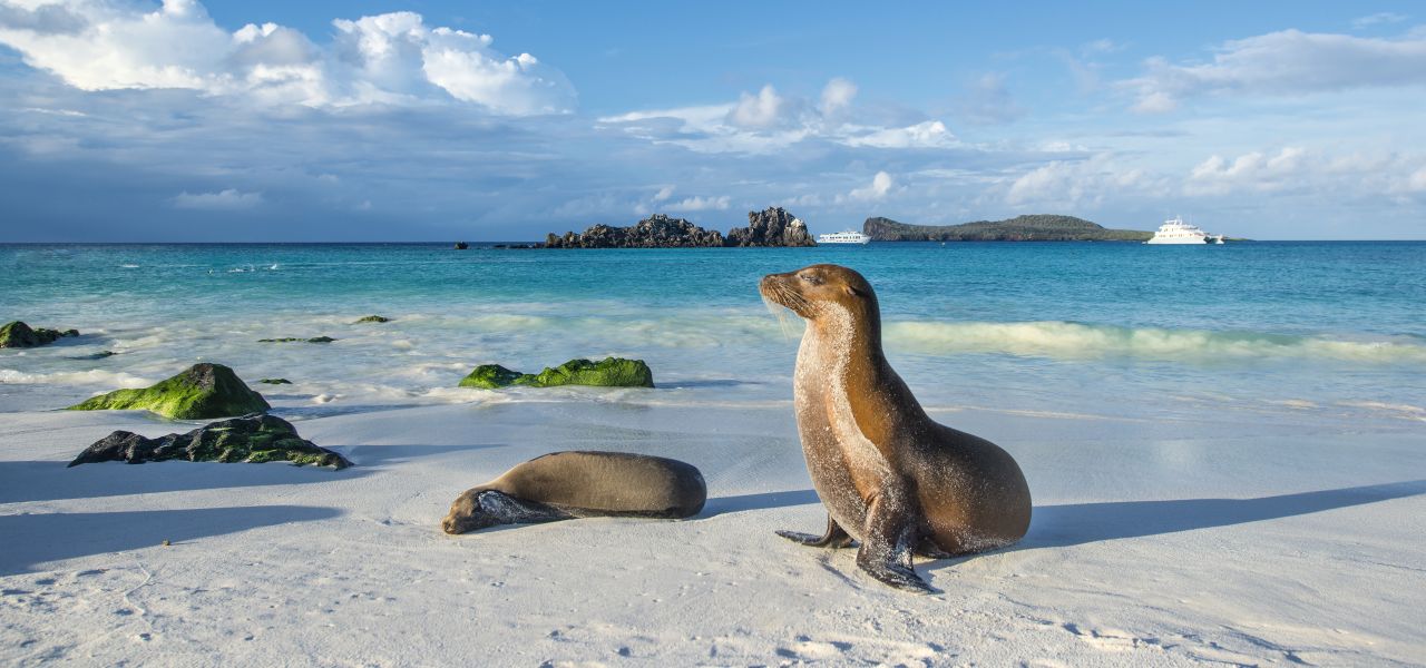 Island Hopping in the Galapagos