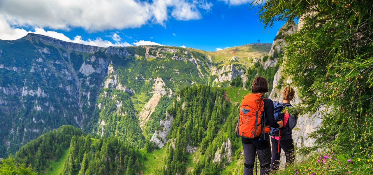 Carpathian Walking & Bears
