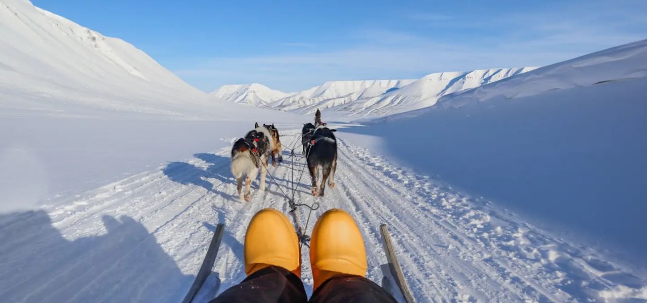 Svalbard Arctic Adventure – Sunny Winter