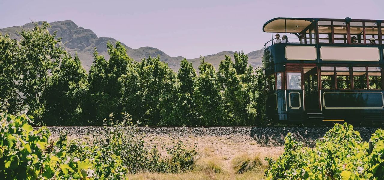 Highlights of South Africa’s Winelands