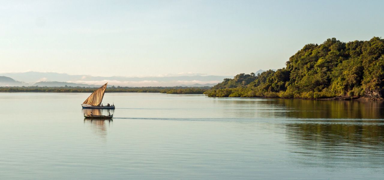 Wild Madagascar