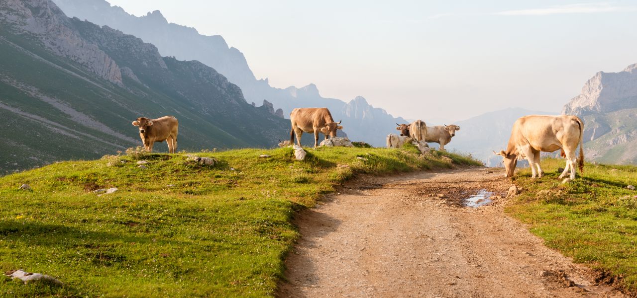 Hike Spain’s Picos de Europa