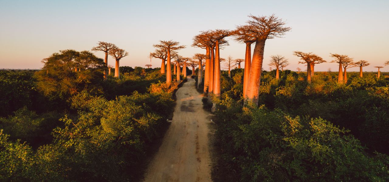 Madagascar Wildlife Adventure