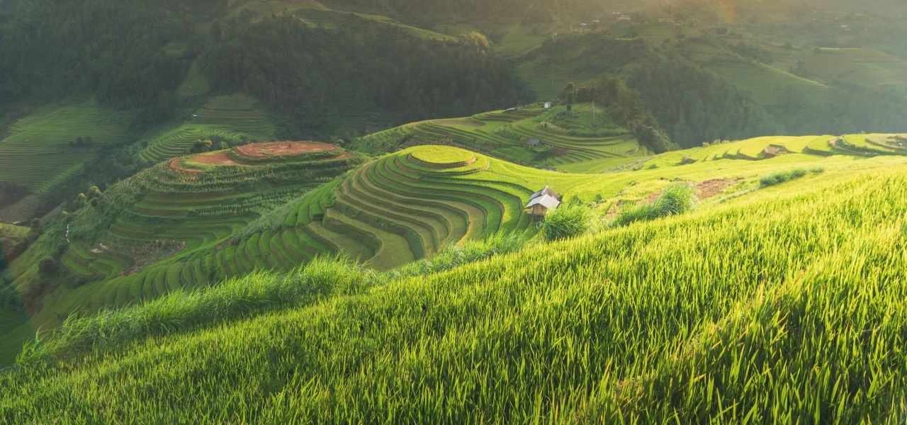 Hiking in Northern Vietnam