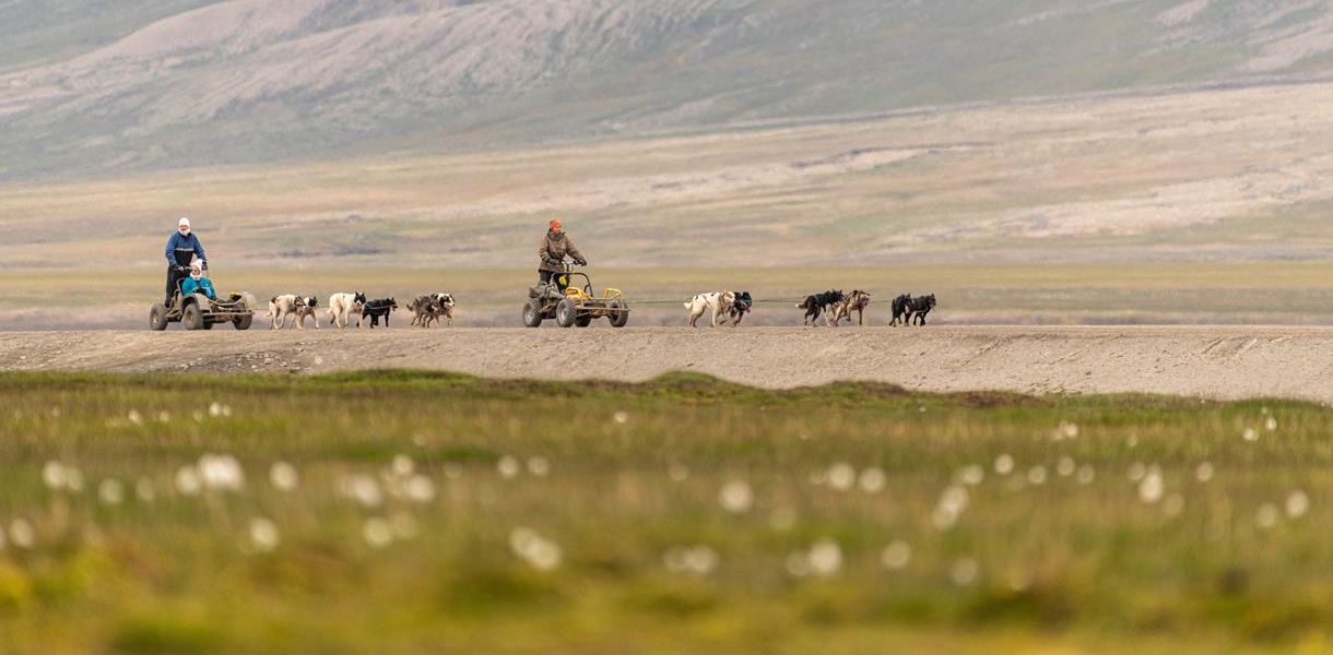 Svalbard Arctic Adventure – Polar Summer