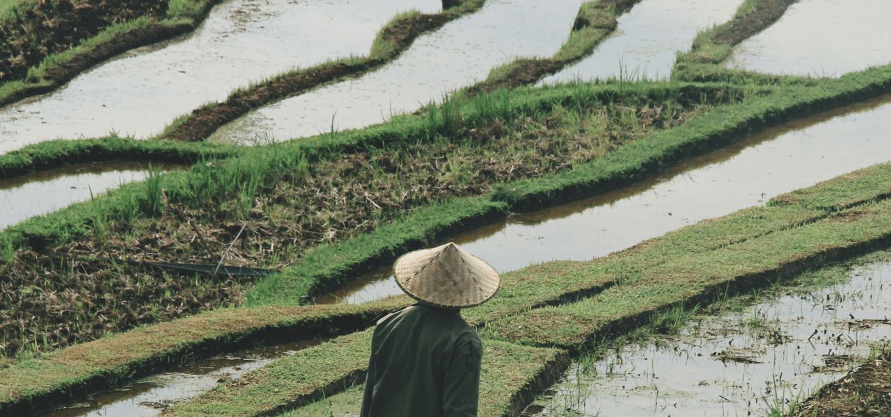 Signature Indonesia | The Sacred Wild Isles