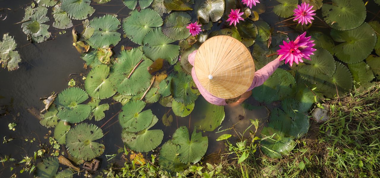 Best of Vietnam – Premium Family Adventure