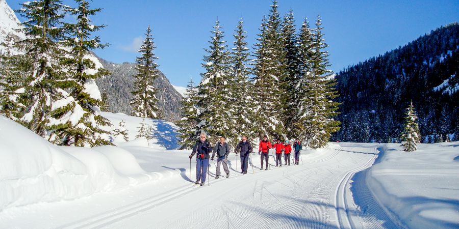 Where to Travel in December