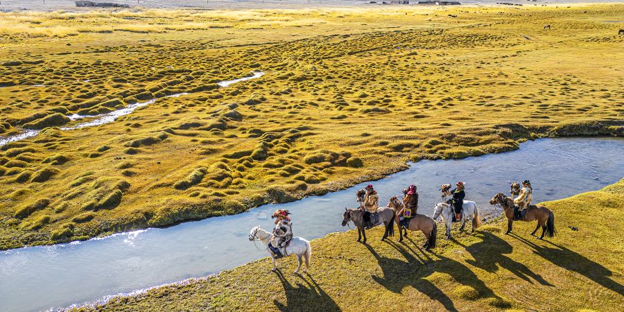 Your Guide to a Year of Cultural Adventures  