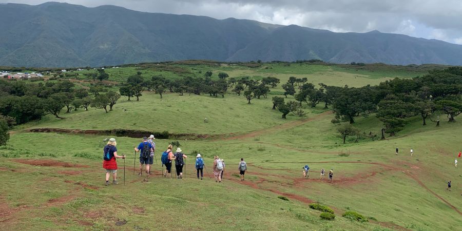 Your Guide to Walking and Trekking Adventures 