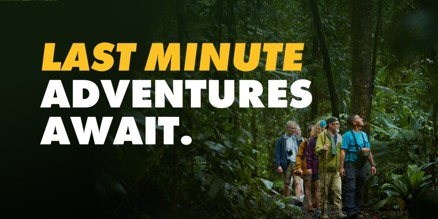 Where Adventure Holidays Begin
