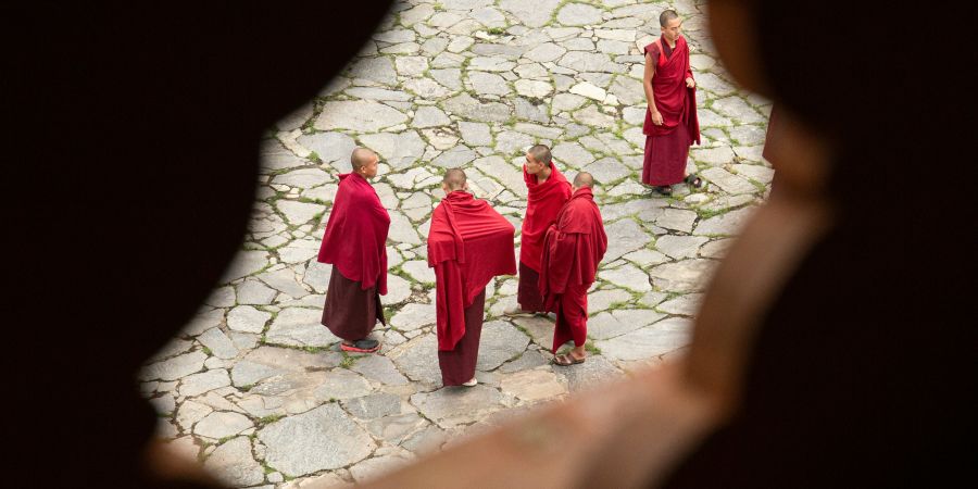 Book 3, Go Free with Exodus