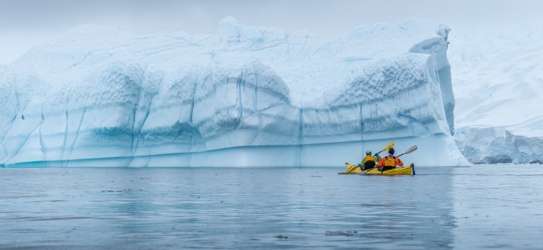 Two guests kayaking through frigid waters in Antarctica. A big iceberg can be seen in the background