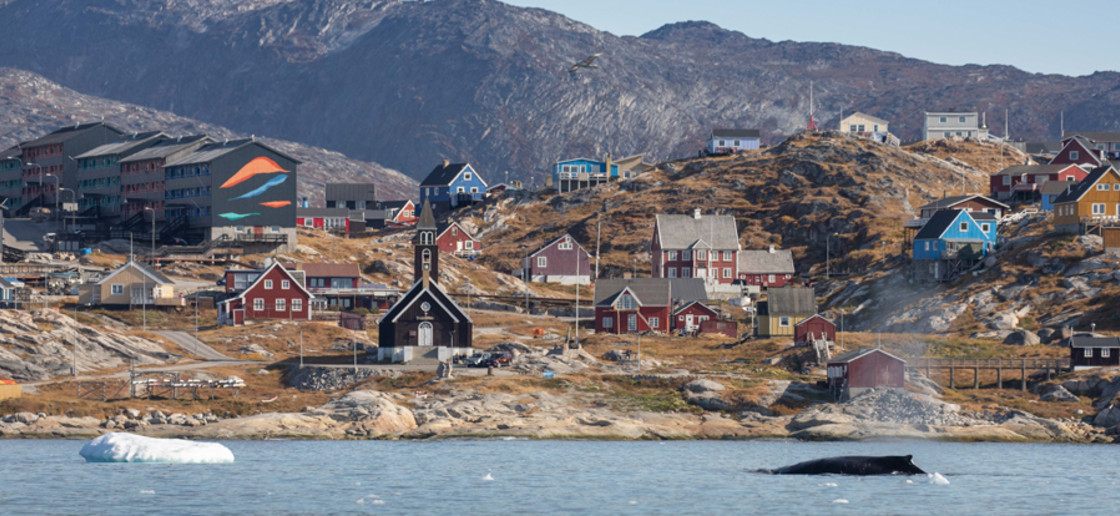 Humpback Whale, Ilulissat, Greenland