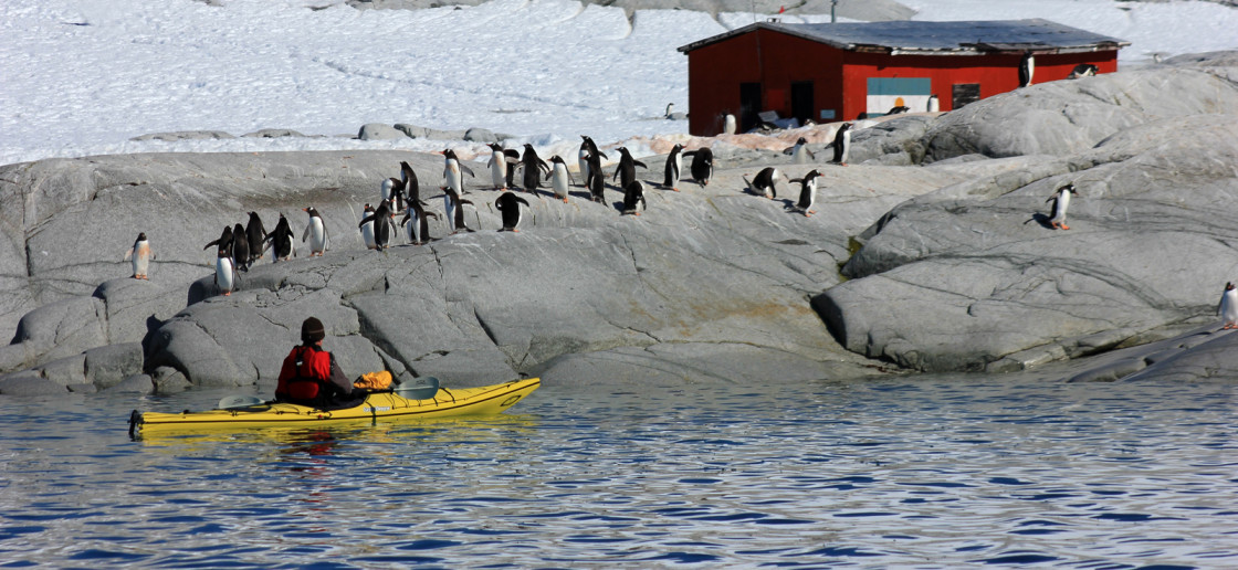 Photo taken by Quark Passenger