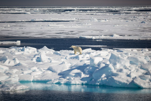 Svalbard Explorer: Best of High Arctic Norway