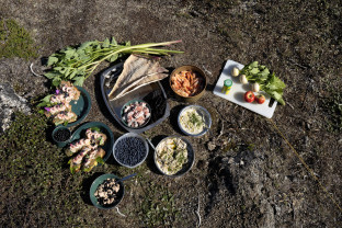 South Greenland Adventure: The Majestic Alpine Arctic