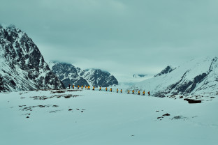 Spitsbergen Highlights: Journey into the Arctic Wilderness