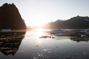 Northwest Passage to Newfoundland: Glaciers, Mountains, and Wildlife