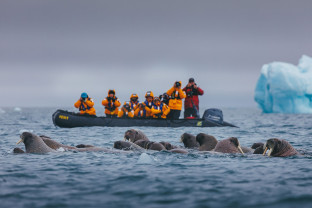 Spitsbergen Highlights