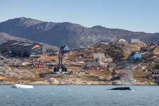 Humpback Whale, Ilulissat, Greenland