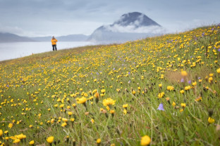 Guest hiking at Hvalsey, South Greenland