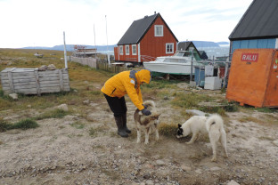 Northwest Passage: Epic High Arctic