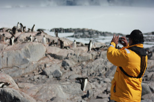 Antarctic Express: Fly South, Sail North