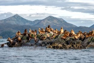 Essential Patagonia: Chilean Fjords and Torres del Paine