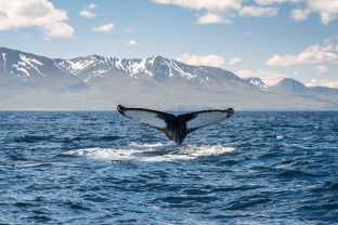 Iceland Circumnavigation: Helicopters, Glaciers and Volcanoes