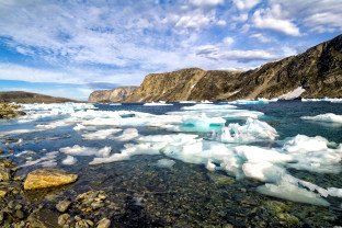 Greenland to Newfoundland: Mountains, Wildlife and Viking History