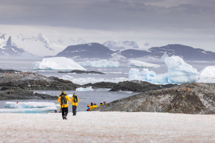 Antarctic Marine Mammals: The World of Whales and Seals