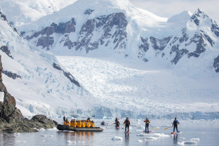 Antarctic Marine Mammals: The World of Whales and Seals