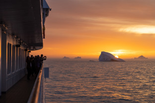 Penguins of the Far South: Falklands, South Georgia and Antarctica