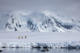 Penguins of the Far South: Falklands, South Georgia and Antarctica