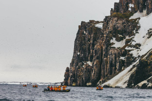 Svalbard in Summer: Tundra, Whales and Wildlife