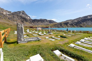 Falkland Islands and South Georgia: 20-Day Wildlife Adventure