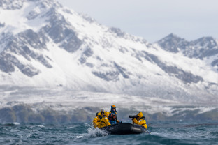 Falkland Islands and South Georgia: 20-Day Wildlife Adventure