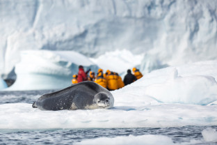 Snow Hill to the Peninsula: Shackleton’s Emperors