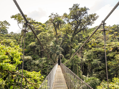 Erleben Sie die wundersame Natur in Costa Rica