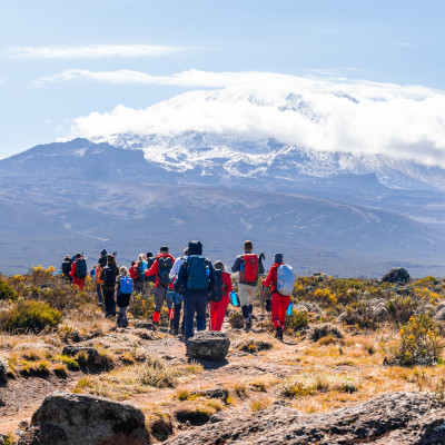 Tansania: Safaris, Kilimandscharo & Sansibar