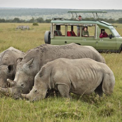 Highlights of Kenya