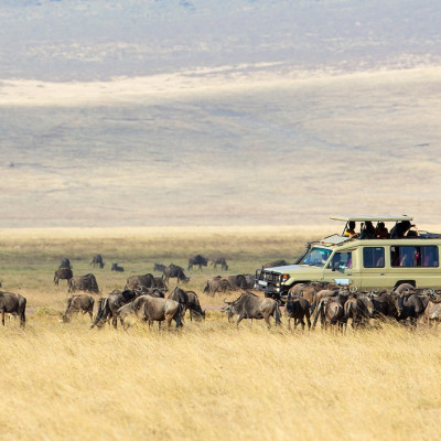 Safari tourists on game drive in Ngorongoro