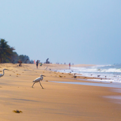 Kerala Rundreise: Tempel, Traditionen und Strand