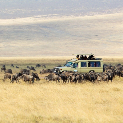 Tanzania is a COVID-19 safe safaris option