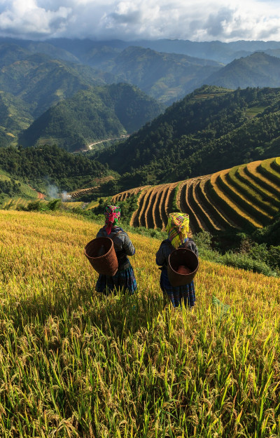 Vietnam