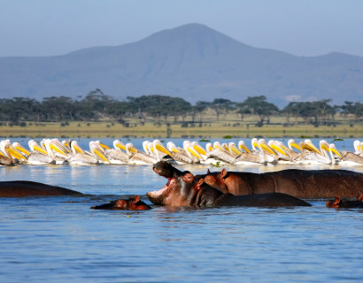 Highlights of Kenya