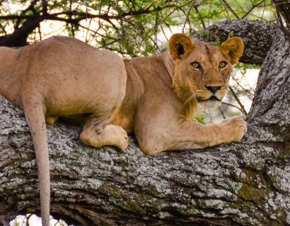 Treasures of Northern Tanzania