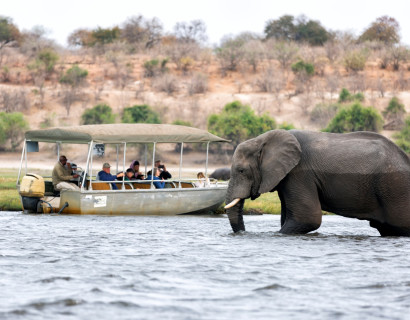Desert to the Delta: Namibia, Botswana & Victoria Falls