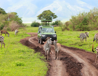 Luxury Tour of Northern Tanzania